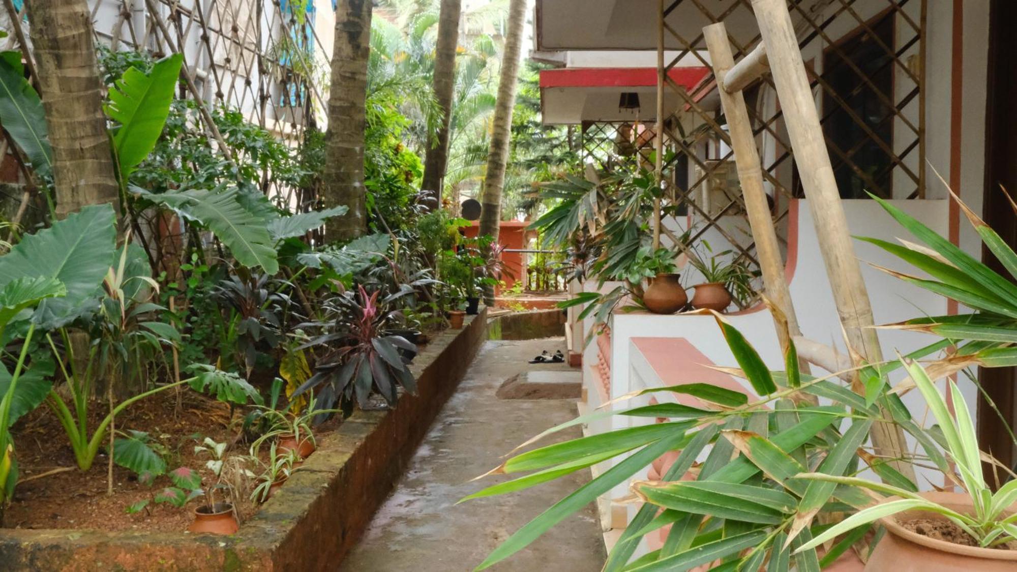 Hotel Coco Moon Morjim Exterior foto